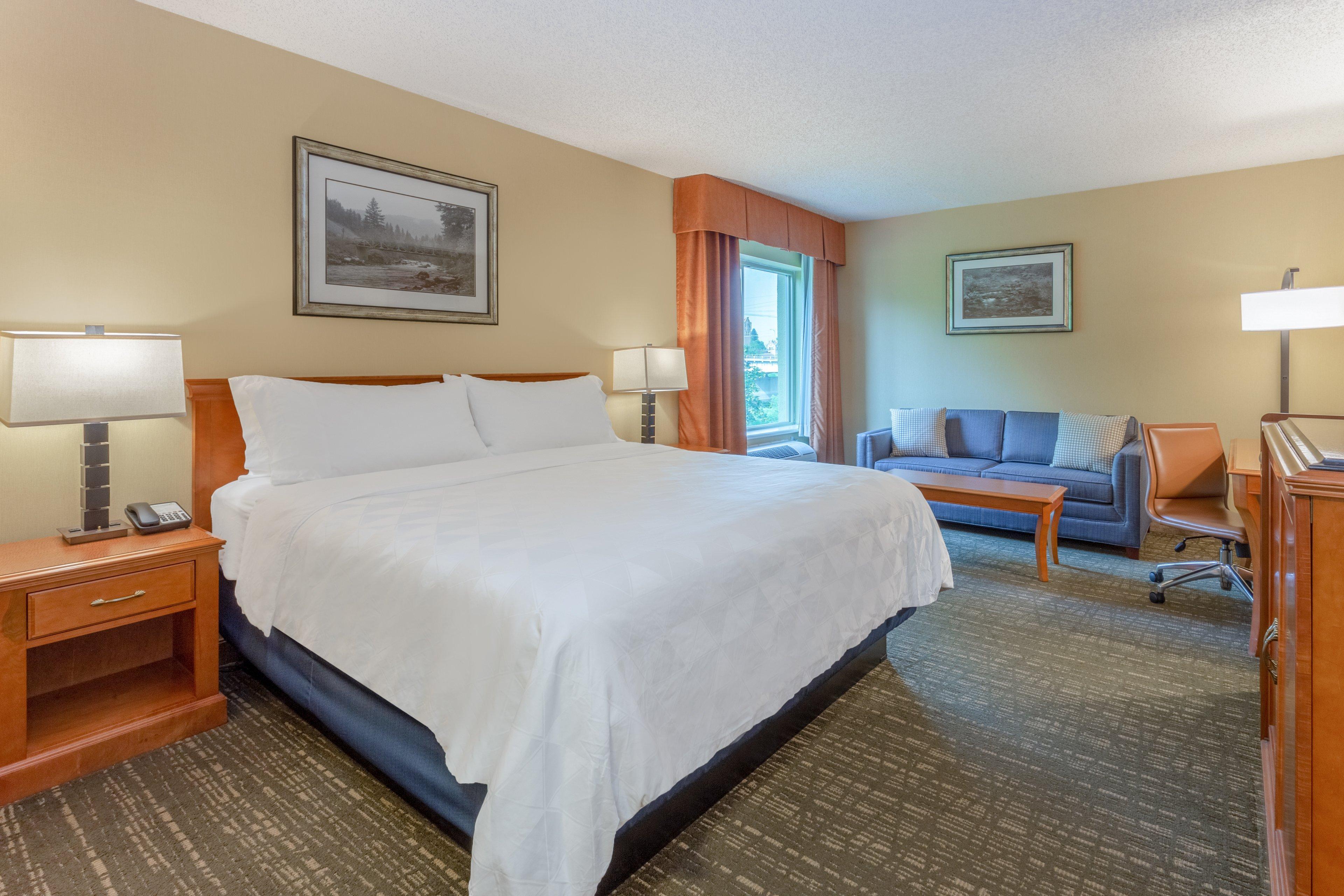 Hotel Holiday Downtown By Ihg 3*